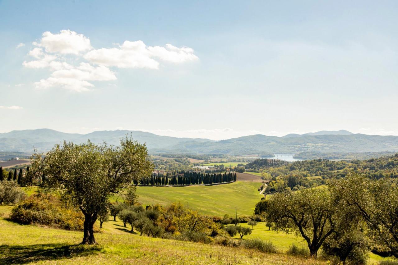 Apartament Borghetto Il Poggiolo Mugello - Affitti Brevi Italia Scarperia Zewnętrze zdjęcie